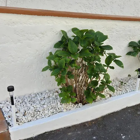 Casa Anita Apartment Luarca